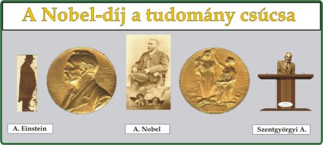 nobel-dij_a_tudomany_csucsa.jpg